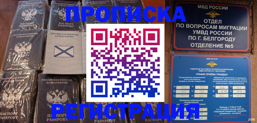 прописка гарантия в Палласовке